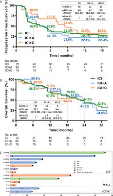 The Application of Combined Immune Checkpoint Inhibitor Modalities in Previously Treated Non-Small Cell Lung Cancer Patients and the Associations Thereof With the Lung Immune Prognostic Index